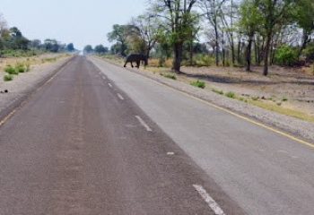IMGP6672
