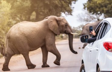 shutterstock_755248801