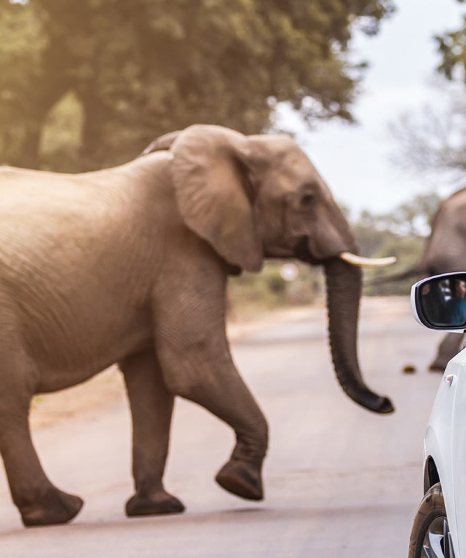 shutterstock_755248801