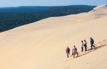 30982290300_42cc210d89_o