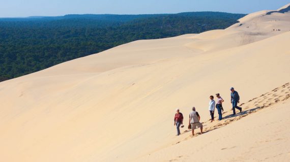 30982290300_42cc210d89_o