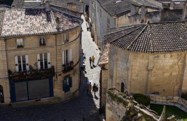 51914361187_1af8dfb9e7_o