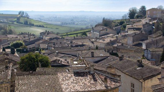 51915334341_20e86a6eb0_o