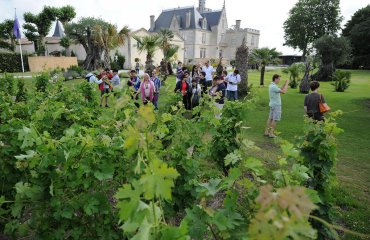 © Gilles Arroyo (1)