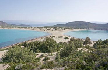 20220406-081002-DSC02129_Eva Ziesche