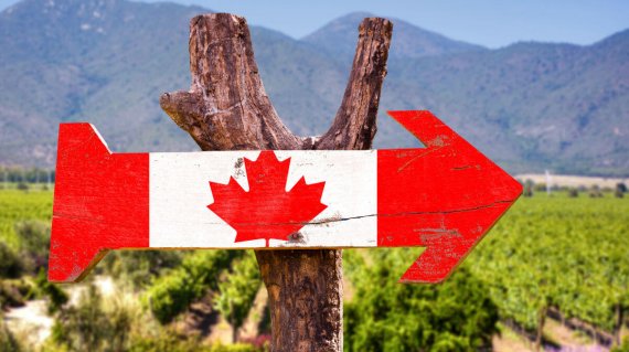 Canada Flag wooden sign with winery background