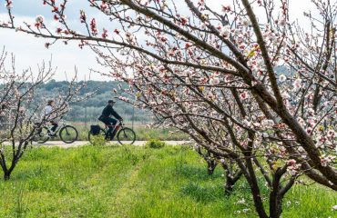 Per E-Bike durch Griechenland - (100) - Credit GR Cycling