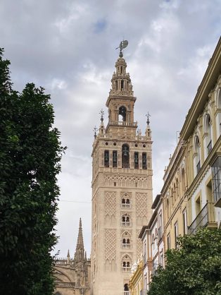 IMG_3454