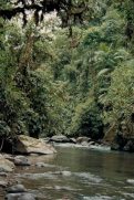 Scan_20230713 (10)