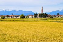 Vercelli-Reisefeld-shutterstock_1513796024