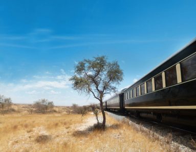 Der African Explorer - (12) - Credit Julia Nieratschker