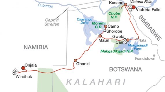 2024 Botswana, Simbabwe und Namibia - Okavango Chamäleon