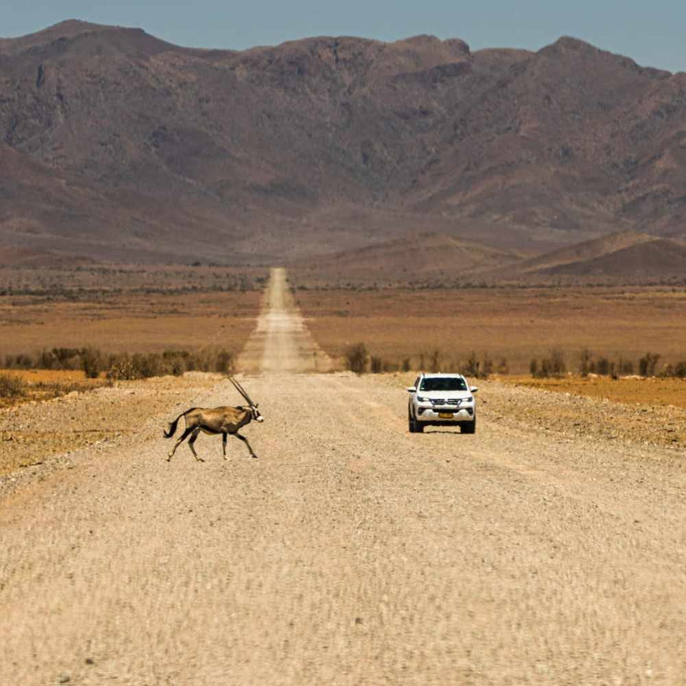 Namibia hautnah