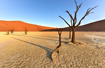 Dead,Vlei,In,The,Southern,Part,Of,The,Namib,Desert,