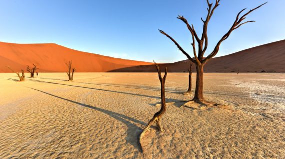 Dead,Vlei,In,The,Southern,Part,Of,The,Namib,Desert,