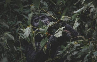 francesco-ungaro-GX44DKf0Kdg-unsplash