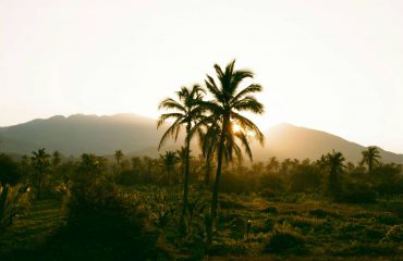 gabrielle-maurer-mLqu-BurM-c-unsplash