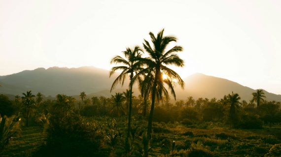 gabrielle-maurer-mLqu-BurM-c-unsplash