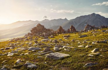 shutterstock_2159083907