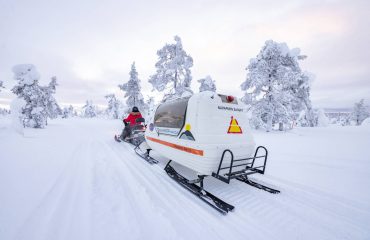 Snowmobile_Sleigh