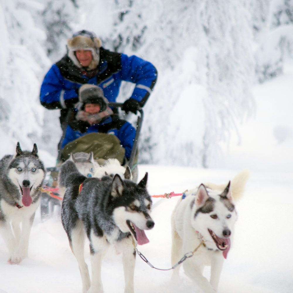 header_Lappland