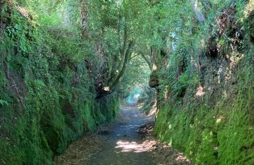 4bb536d5-54b9-48b8-a2f8-81725588d5f1