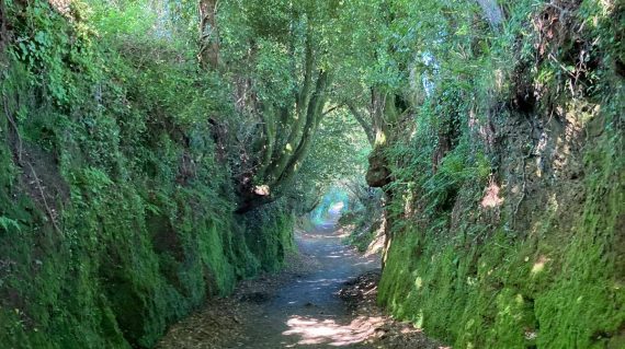 4bb536d5-54b9-48b8-a2f8-81725588d5f1