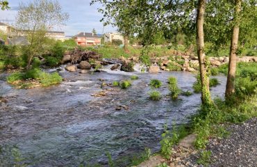 aa0a245e-1797-4428-9cd1-95fa0aed7ba1