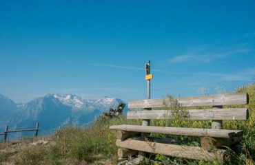 annie-spratt-PRSrk1NdYN8-unsplash