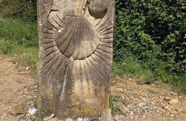 d32fb2c9-f2cf-45cd-9ecc-d8f68d1dd816