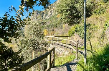 getty-images-vQyLSjmbkzQ-unsplash