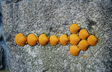 jon-tyson-cnMuC1Il06Y-unsplash