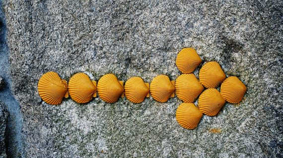 jon-tyson-cnMuC1Il06Y-unsplash