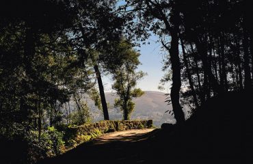 max-kukurudziak-Z23y0OWnyfE-unsplash