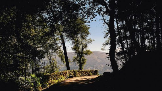 max-kukurudziak-Z23y0OWnyfE-unsplash