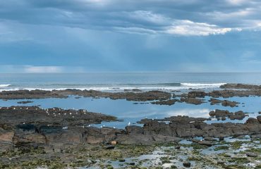 max-kukurudziak-cXsWMPUbeXc-unsplash