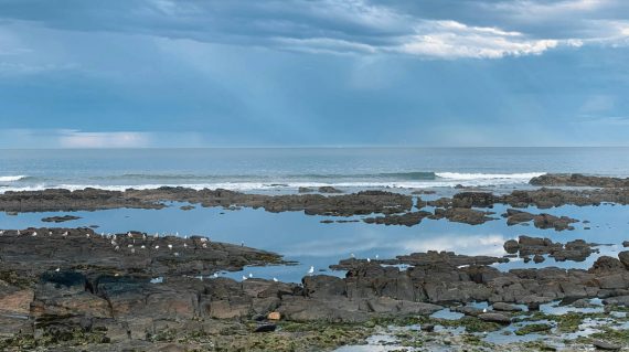 max-kukurudziak-cXsWMPUbeXc-unsplash