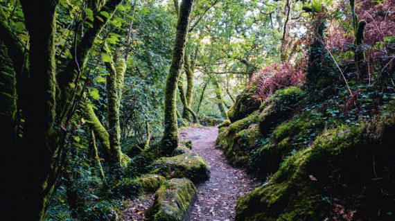 max-kukurudziak-gw0TNS9AaFw-unsplash