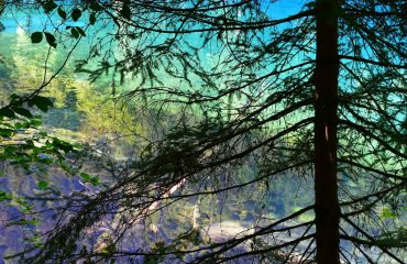 peter-steiner-1973-wO3Zfs9Kp8c-unsplash