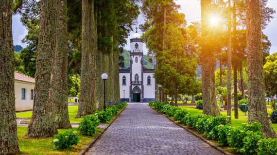 shutterstock_1810978621