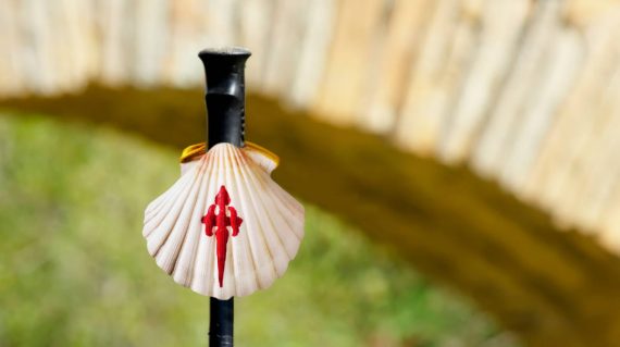 shutterstock_2179736759