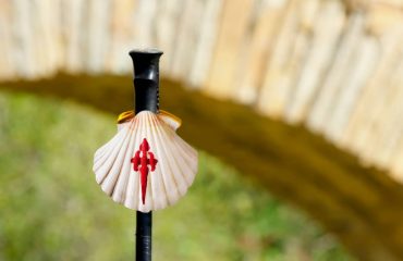 shutterstock_2179736759