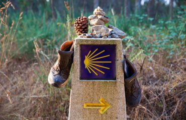 shutterstock_558797593