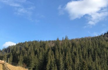 vadim-misyuchenko-AmxarCm3X3M-unsplash