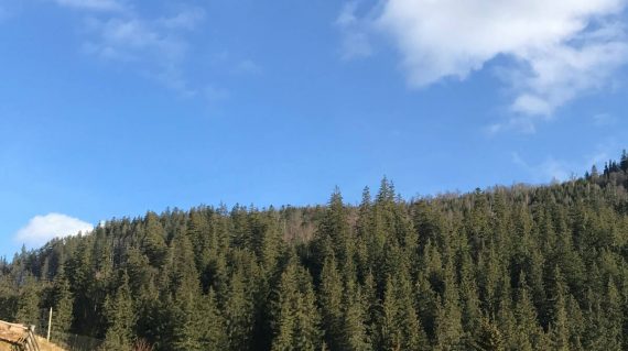 vadim-misyuchenko-AmxarCm3X3M-unsplash