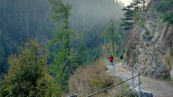 zobia-shakar-qsogjf2yxqo-unsplash