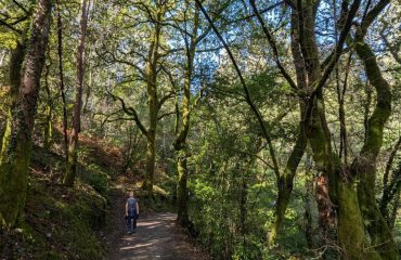 2c4a6ed8-b38c-45b7-94ab-d0dc9111c3b4