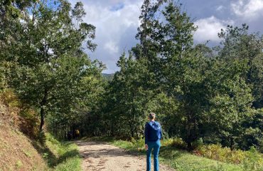 694f13f2-9d3f-4090-8373-c559d65071fe