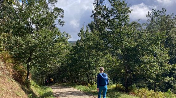 694f13f2-9d3f-4090-8373-c559d65071fe