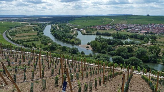 eschen_25478269800_o